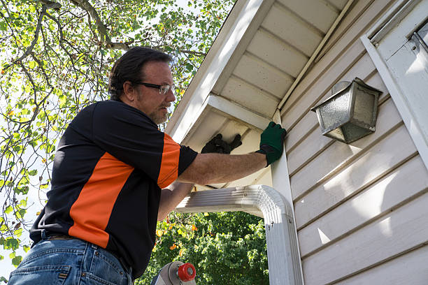 Shed Removal in Aliquippa, PA